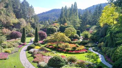 Canada bờ Tây 7N6Đ: Vancouver – Victoria – Sea to Sky Gondola - Image - 12269