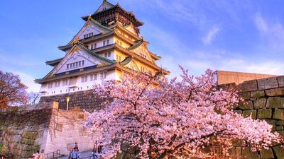 HÀ NỘI – NAGOYA – GIFU – KOBE – KYOTO – OSAKA (BAY VIETJET AIR) - Image - 7833