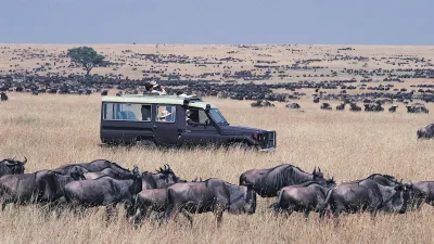 7 Days Best of Kenya safari - Image - 10749