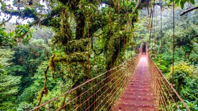 8-Day Costa Rica Eco-Adventure: Tortuguero, Arenal and Monteverde - Image - 11376