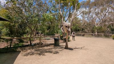 Melbourne, Australia 4D3N - Image - 11686