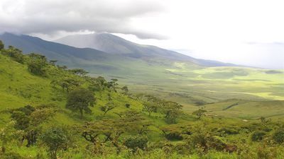 Ngorongoro Crater Day Trip - Image - 12244