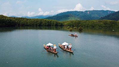 Morning Santubong Wildlife and Mangrove Cruise – Malaysia - Image - 11166