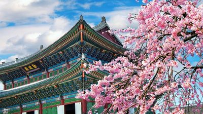 (BAY ĐÊM VỀ TỐI) CHƯƠNG TRÌNH MÙA HOA: SEOUL-EVERLAND–NAMI ISLAND–THƯ VIỆN SÁCH STARFIELD-NAMSAN - Image - 7002