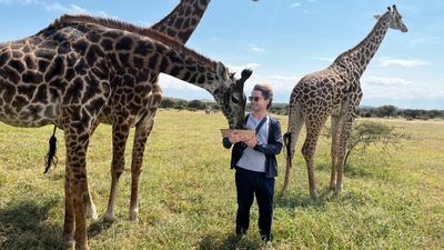 5‑Day Big Five Safari Experience and Exceptional Wildlife Encounters - Image - 11803