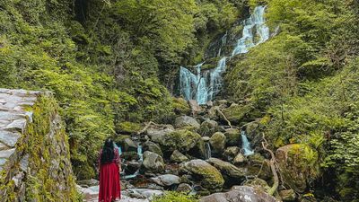 7-Day Ireland: Dublin City and National Park Highlights - Image - 10735
