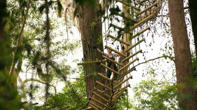 1-Day Subic: Zip Line Adventure and Tree Top Canopy Tour - Image - 9978