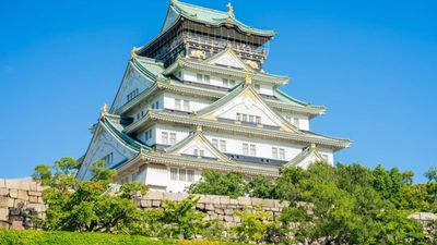 6 ngày 5 đêm (về chiều) CUNG ĐƯỜNG VÀNG NHẬT BẢN - RỰC RỠ SẮC HOA KOBE – OSAKA – KYOTO – NAGOYA – PHÚ SĨ – TOKYO (NO SHOPPING) - Image - 8693