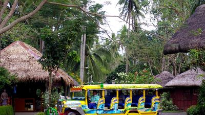 1-Day Philippines: Villa Escudero Plantation and Philippine Experience Show - Image - 10057