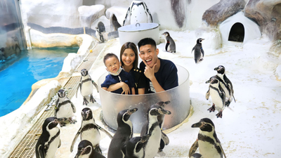Manila City Day Tour with Ocean Adventure - Image - 10076