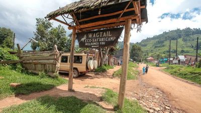 4 Days Gorilla Trekking and Wildlife Safari - Image - 10529