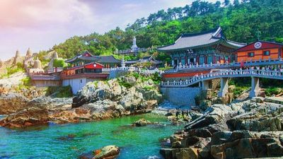 [6 ngày 5 đêm-VN] Khám phá hoa anh đào: BUSAN – SEOUL – ĐẢO NAMI – NAMSAN – INCHEON - Image - 6801