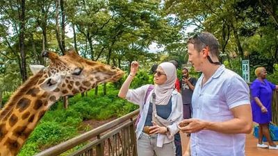 Mombasa: Guided Discovery City Tour And Haller Park Excursion. - Image - 8855