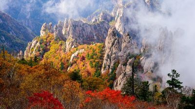 [MÙA THU 4 NGÀY 4 ĐÊM] Templestay - Gangwon - Seoul - Image - 20579