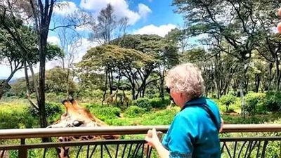 Nairobi:Giraffes Feeding Experience At Giraffes Centre And Kibera Slum Excursion. - Image - 8205
