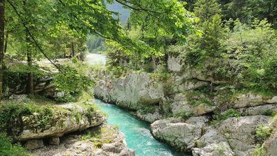 7-Day Slovenia Highlights: Soča Valley, Lake Bled and Piran - Image - 11032
