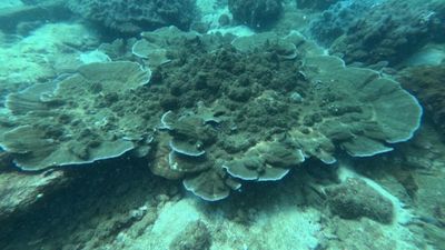Amazing Phu Quoc 3 Island Tour by Boat & Cable Car – Full Day - Image - 19825