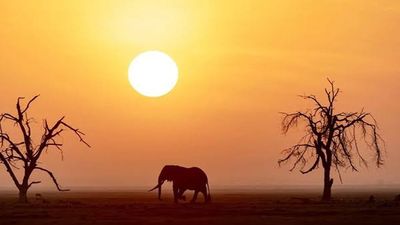 5-Day Maasai Mara Migration Tour & Lake Nakuru Safari 2026 - Image - 25664