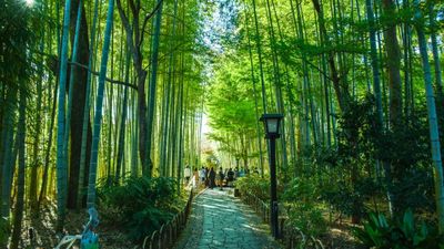 [NHẬT BẢN HÈ ] TP.HCM – OSAKA – KYOTO – PHÚ SĨ – TOKYO 5N5Đ - Image - 11975