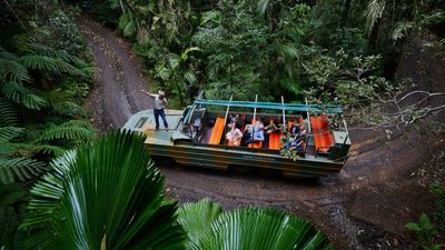 Australia Journey: Cairns Gateway – Kuranda Heritage – Tropical Paradise (4 Days) - Image - 10181
