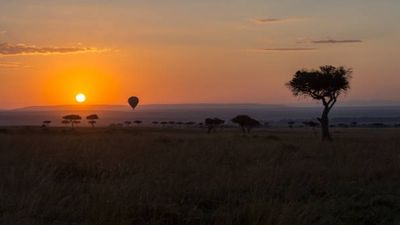 25 Days Kenya Wildlife & Bird Photography Safari Tour - Image - 21865