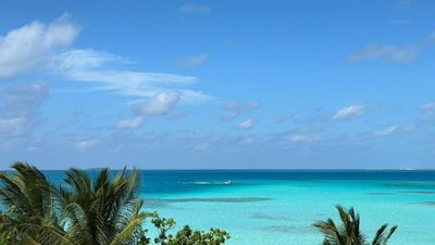 Dhiffushi Maldives Tour - Turtles, Sandbank, Dolphin Cruise & Drone Photos | 5 Days - Image - 15207