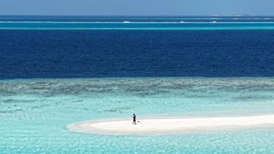Dhiffushi Maldives Tour - Turtles, Sandbank, Dolphin Cruise & Drone Photos | 5 Days - Image - 15216