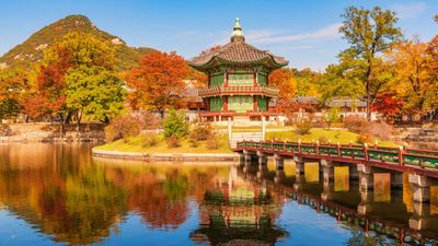 [6 NGÀY 5 ĐÊM-VN] CUNG ĐƯỜNG VÀNG KHÁM PHÁ HÀN QUỐC HÀ NỘI – BUSAN – SEOUL – NAMI –CÔNG VIÊN HOA ANH ĐÀO – INCHEON – HÀ NỘI - Image - 7014