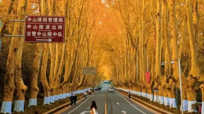 HÀ NỘI - THƯỢNG HẢI – HÀNG CHÂU – Ô TRẤN – THƯỢNG HẢI - Image - 6778