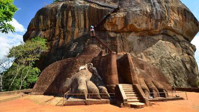 5-Day Sri Lanka: Elephant Orphanage – Temple of the Tooth – Tea Factory - Image - 10951