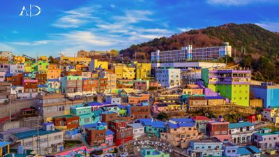 [6 ngày 5 đêm-VN] Khám phá hoa anh đào: BUSAN – SEOUL – ĐẢO NAMI – NAMSAN – INCHEON - Image - 6802