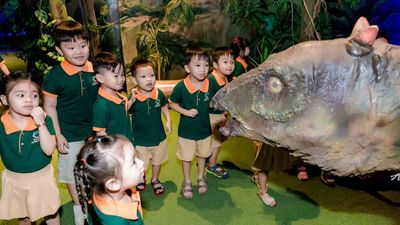 Tour Học Sinh: Tham Quan Công Viên Khủng Long Jpark - Image - 25425
