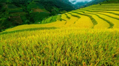 BAC HA TREKKING 3 DAYS - Image - 25553