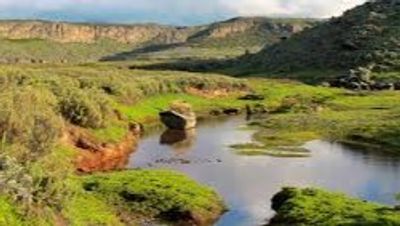 5-Day Bale Mountain Trekking Tour - Image - 18323