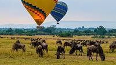 5 Days Masai Mara Migration & Nakuru Big Five Budget Safari - Image - 21779