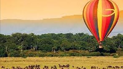 3-Day Samburu Fly-in Safari from Nairobi - Image - 26605