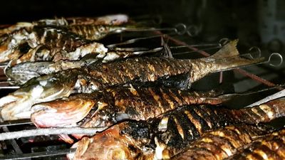 Maldives Island Escape - Turtle Snorkelling, Dolphin Cruise & Beach BBQ | 5 Days - Image - 15120
