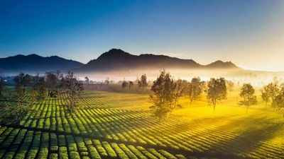 Du Lịch Tây Nguyên: Buôn Ma Thuột – Pleiku – Kon Tum – Măng Đen – Đà Lạt 4N3Đ - Image - 25324