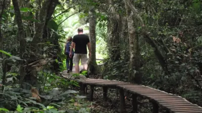 14-Day Uganda Vacation Package and Tour to See Gorillas - Image - 26662
