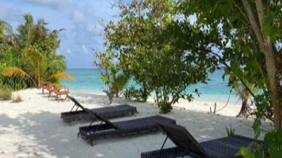 Maldives Island Escape - Turtle Snorkelling, Dolphin Cruise & Beach BBQ | 5 Days - Image - 15123