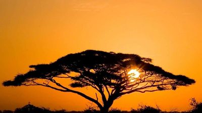 8DAYS BEST OF KENYA - Image - 15045