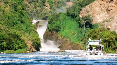 7-Day Uganda Gorilla and Wildlife Safari - Image - 11317