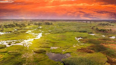 Chobe and Okavango Expedition: 6-Day Botswana (6 Days) - Image - 10840