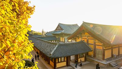 KHÁM PHÁ HÀN QUỐC 6N5Đ - BUSAN - SEOUL - NAMI - Image - 25725