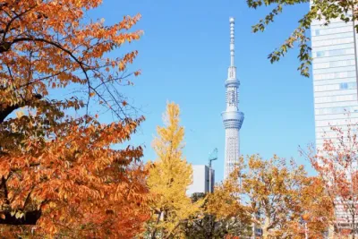 Hanoi – Tokyo – Mount Fuji – Yokohama – Odaiba Bay - Image - 520