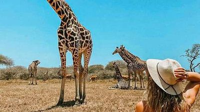 Mombasa: Nguuni Nature Sanctuary Guided Giraffe Feeding Excursion - Image - 8724