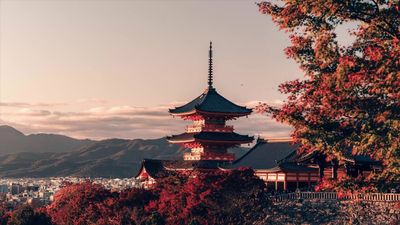 Hanoi - Osaka – Kobe – Kyoto– Fuji Mount – Skiing – Early Cherry Blossom – Tokyo – Hanoi - Image - 412