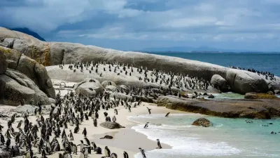 11-Day South Africa Self-Drive Adventure Tour - Image - 14042