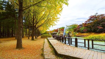 KHÁM PHÁ HÀN QUỐC 6N5Đ - BUSAN - SEOUL - NAMI - Image - 25720