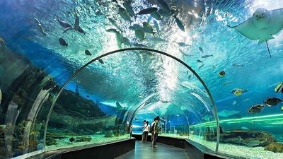Manila City Day Tour with Ocean Adventure - Image - 10066